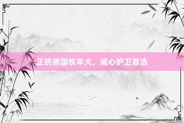 正统德国牧羊犬，诚心护卫首选